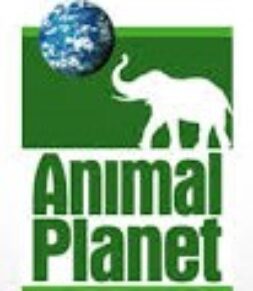Animal Planet Nonprofit Partner