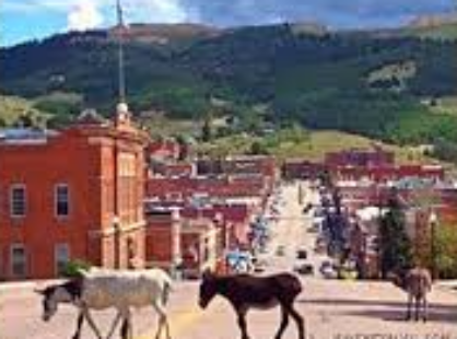 Cripple Creek CO Cripple Creek CO